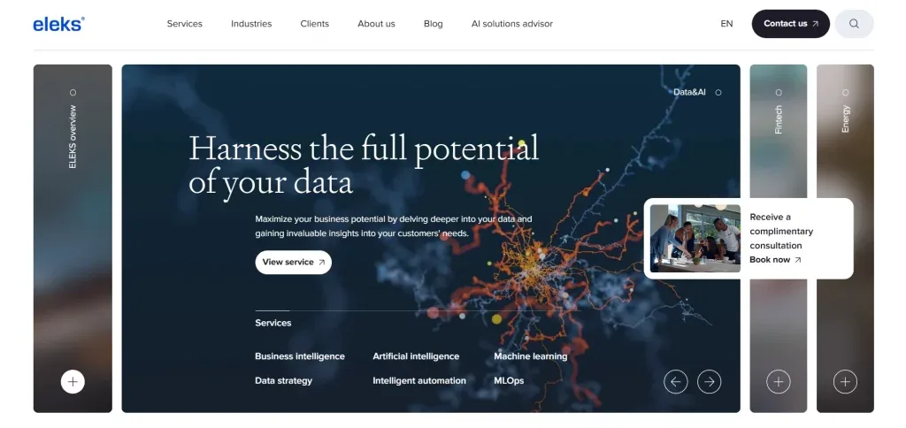 Eleks Website Image