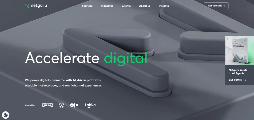 Netgru Website image