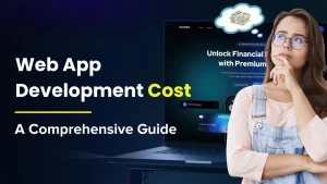 Web app development cost