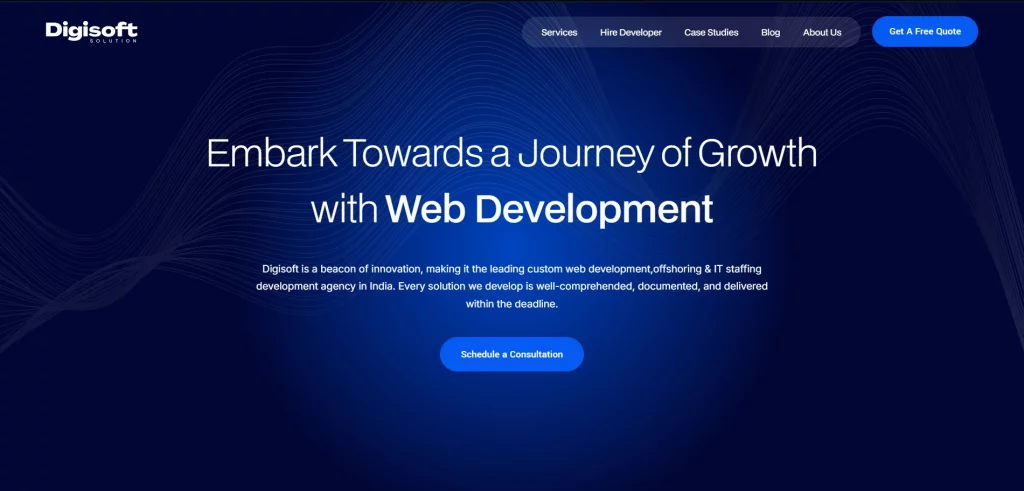 Digisoft website Image