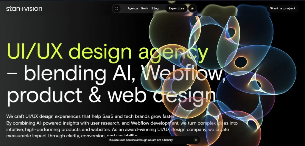 Stan Vision Website Image